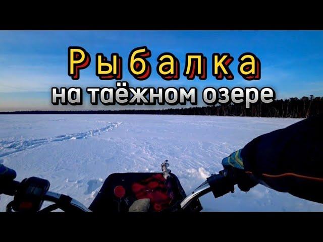 Рыбалка на озере Большие Чертаны. Ловля окуня