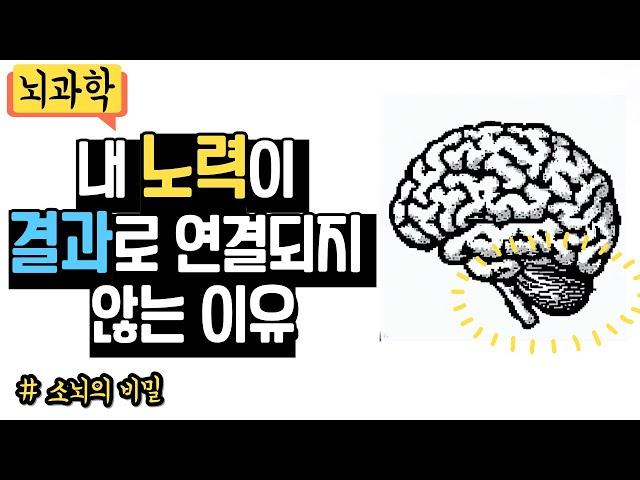 내 노력이 의심 될 때, 꼭 봐야할 영상 ㅣ 노력의 질, 뇌과학, 자기계발