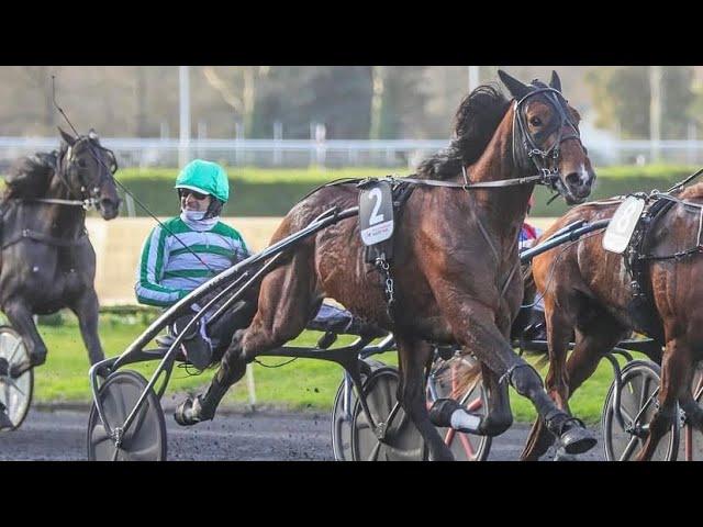 JUSHUA TREE (Jean-Michel Bazire) - G1 Criterium Continental 2023