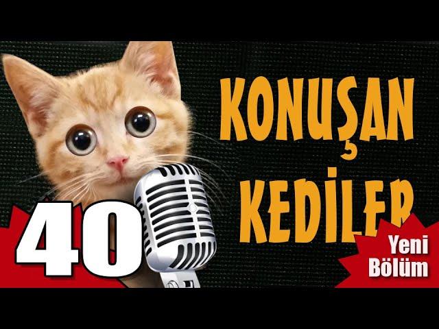 Konuşan Kediler 40 - En Komik Kedi Videoları