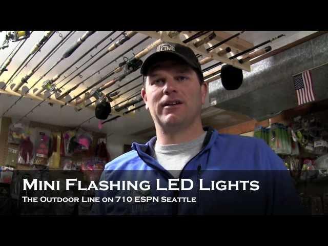 Mini Flashing LED Lights for Salmon Fishing