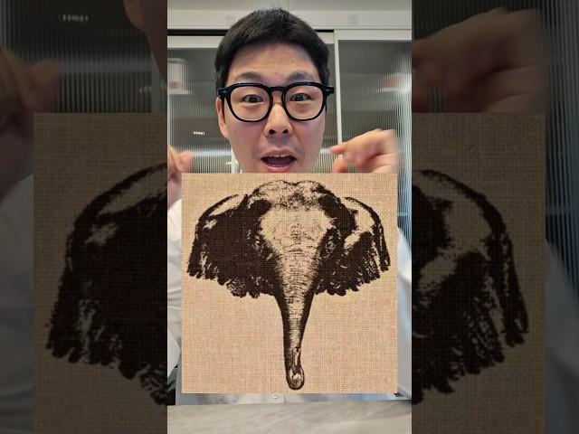이 동물이 누구로 보이시나요?-마삼촌