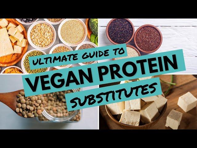 Ultimate Guide to Vegan Protein Substitutes | BEST Vegan Protein Sources