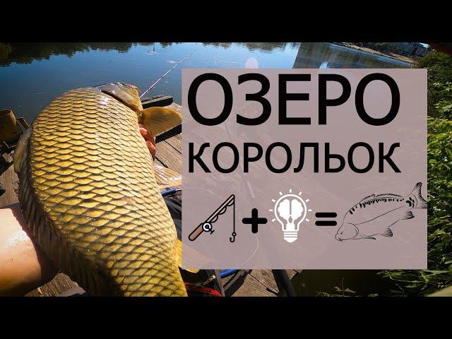 КАРПФІШИНГ в КИЄВІ.  ОЗЕРО КОРОЛЬОК. РИБАЛКА НА ФЛЕТ.