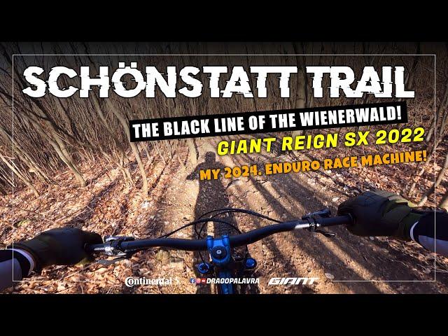 SCHÖNSTATT TRAIL | Giant Reign SX 2022 | Drago Palavra