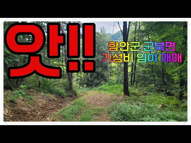 함안땅, 함안임야] 24-010 경상남도 함안군 군북면 {산림관리사 허가득} 전기투입및 통행로 정상까지 개통된 ,개인농장및 산림경영적합한 임야 매매