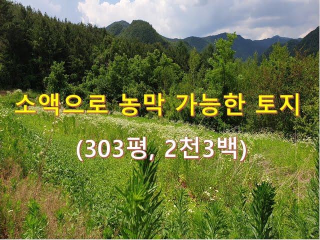 정선부동산 정선토지 "소액으로 농막가능한 토지매매" 2천3백 정선싼땅 오지땅 귀촌토지 나홀로토지/ 정선대복부동산