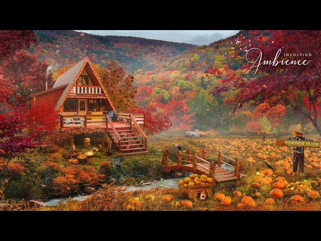 Pumpkin Patch ASMR AmbienceCozy Autumn Ambience with River Sounds, Crackling Fire, Crunchy Leaves