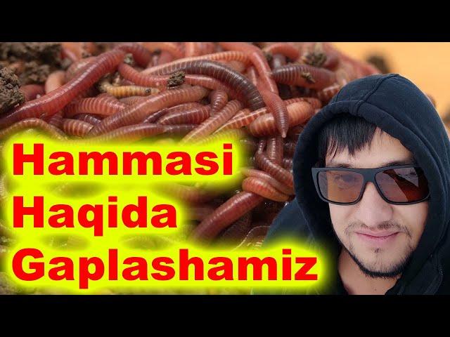Hammasi Haqida Gaplashamiz / Ҳаммаси Ҳақида Гаплашамиз 936398888