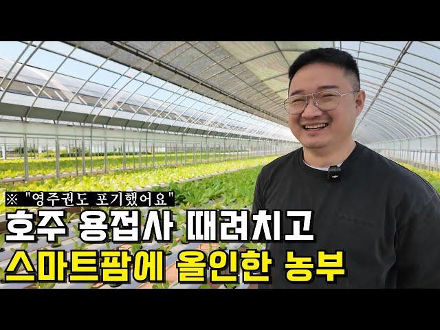 로메인 상추를 스마트팜으로 40일 만에 출하시키는 귀농 청년 농부