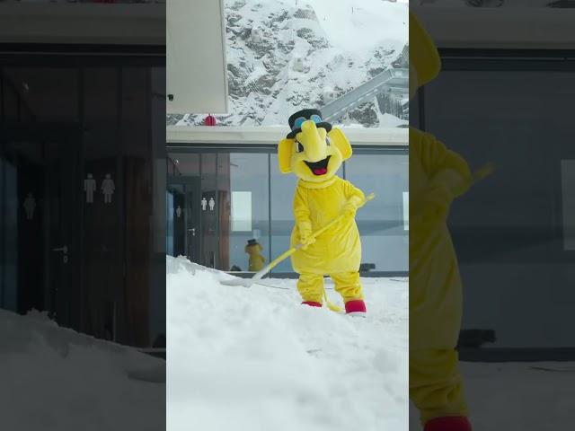 ️ From the front of Zillertal to the Hintertux Glacier, we are ready to welcome you! The slopes are