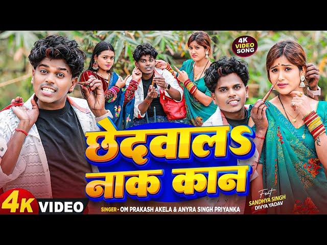 #4K_VIDEO - छेदवालS नाक कान | #Om_Prakash_Akela, #Antra_Singh_Priyanka | Chhedwala | New Maghi Song