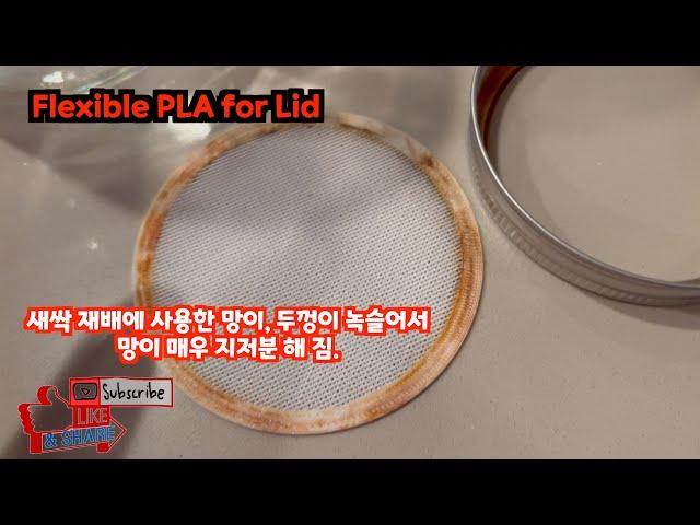 Flexible PLA, 3D 프린터로 놀라운 새싹 키우기 망 만들기! 초간단 DIY 튜토리얼