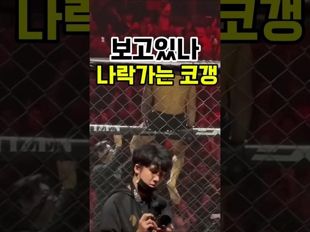 나락가는 코리안 갱스터 #격투기 #코갱 #코리안갱스터 #블컴 #박원식 #ufc
