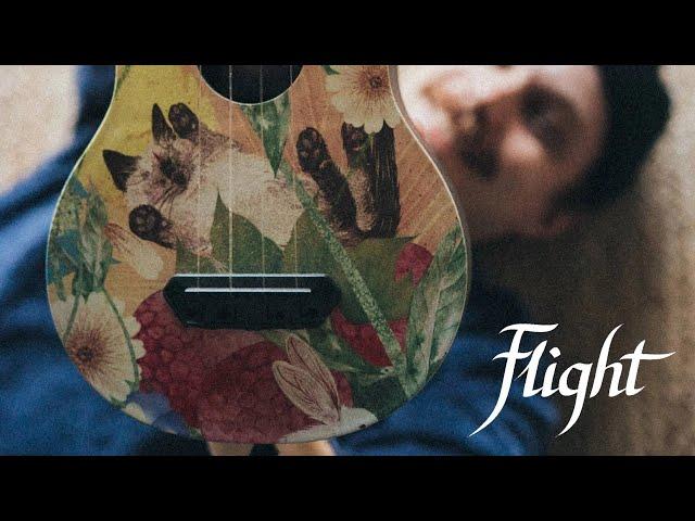 УКУЛЕЛЕ С КИСОЙ СУЩЕСТВУЕТFLIGHT ULTRAЧЕСТНЫЙ ОБЗОР