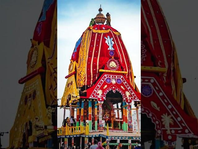 कैसा होता है भगवान जगन्नाथ का रथ ? || Jagannath Puri Rathyatra 2023 || #jagannath #rathyatra