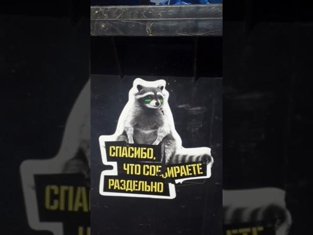 Мусор не разделяется