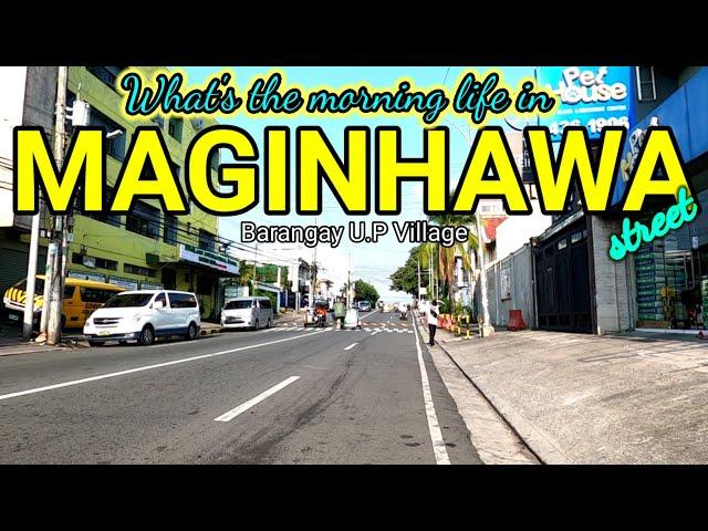 morning SCENE in MAGINHAWA  Street  U.P Village | QUEZON CITY / 