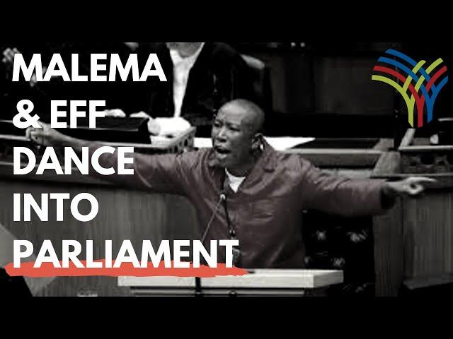 From Dance to Warning, Malema Makes Dramatic Entry to Parliament