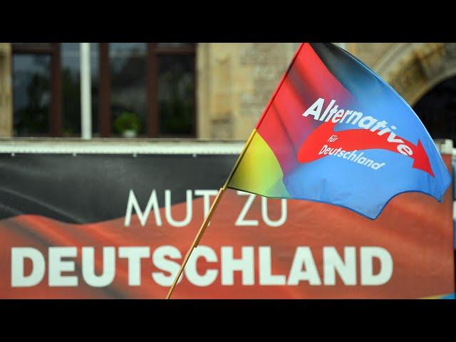  Europawahl 2024! Nur die AfD! 