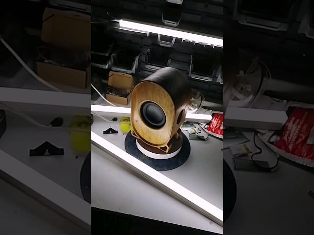 custom bluetooth speaker