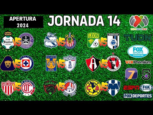 FECHAS, HORARIOS Y CANALES PARA LA JORNADA 14 DE LA LIGA MX APERTURA 2024