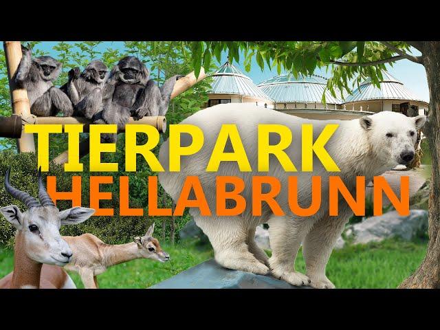 Tierpark Hellabrunn in München | Zoo-Eindruck