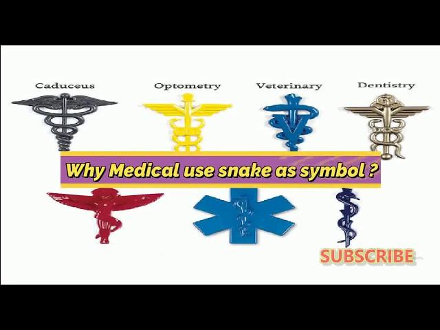 Why Medical Use Snake As Symbol?; The Rod of Asclepius. | Medico Star.