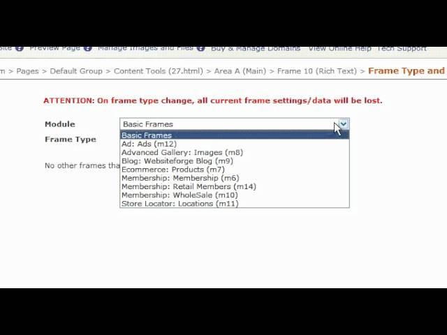 Content Tools Frame Type And Info Button - Websiteforge Ecommerce Website