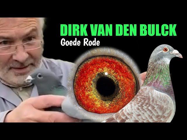 DIRK VAN DEN BULCK - The Three Bloodlines