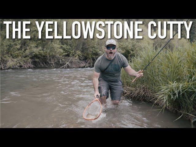 Yellowstone Cutthroat - Episode 13 Western Native Trout Challenge