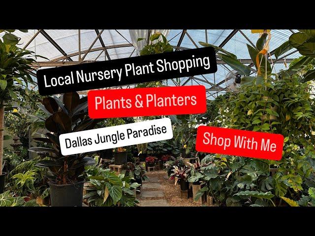 Big Box Store Plant Shopping Alternative Shop Small Business Plant Shop Planters and Planters Plants