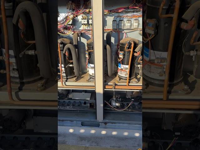 Ignition module replacement.