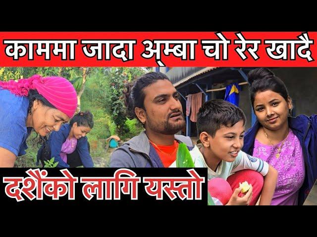 अस्मिता र शक्ति गाउँमा गएर यसरी काममा रमाउदै Asmita dallakoti,Shakti kumar godar,Dashain vlog Ep-2