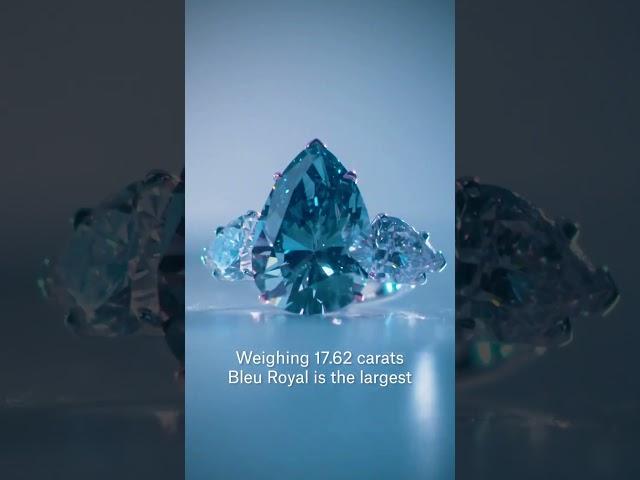 Bleu Royal, ένα από τα πιο σπάνια διαμάντια βγαίνει σε δημοπράσια