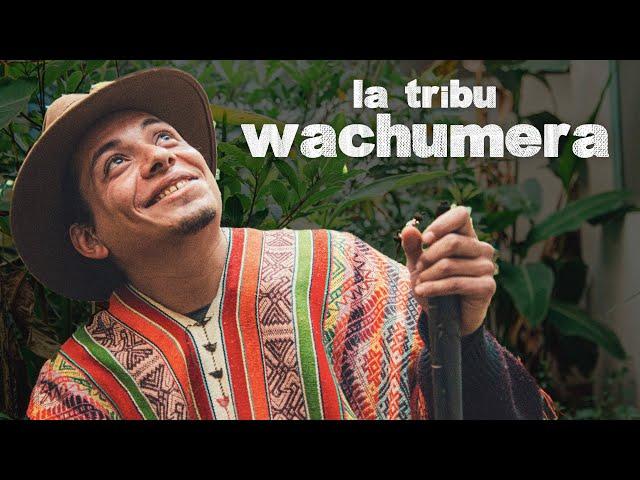 THE WACHUMA TRIBE | Alejo Sanzon