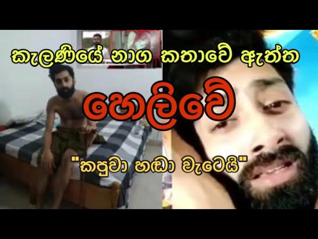 Kelaniya Temple | Naga Lokaya | නාග ලෝකයෙන් කැලණියට වැඩි ධාතූන් | Viral Think