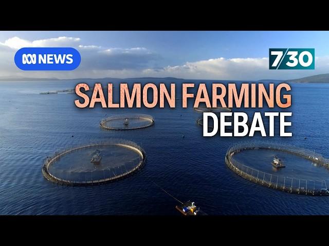 Tasmania's salmon industry is booming but what about its environmental impact? | 7.30