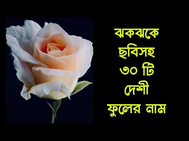 Flowers Names for kids in Bangla || বাংলাদেশি ৩০ টি ফুলের নাম ও ঝকঝকে ছবি