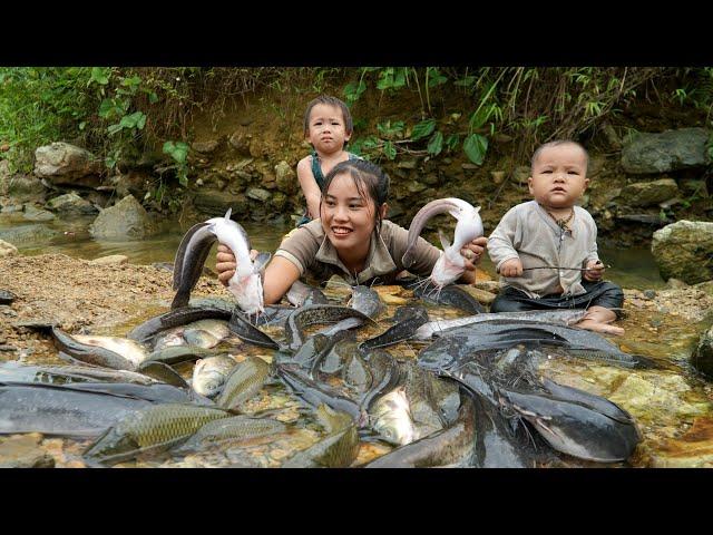 How to catch giant fish on a rainy day with your children and bring them to the market to sell