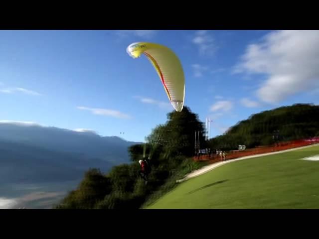 Autumnal Flight - by Jack Pimblett