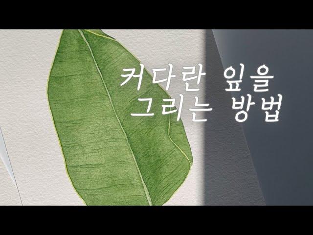 수채화 커다란 극락조 그리는 방법