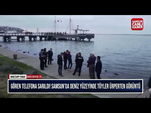 Gören Telefona Sarıldı! Samsun’da Deniz Yüzeyinde Tüyler Ürperten Görüntü