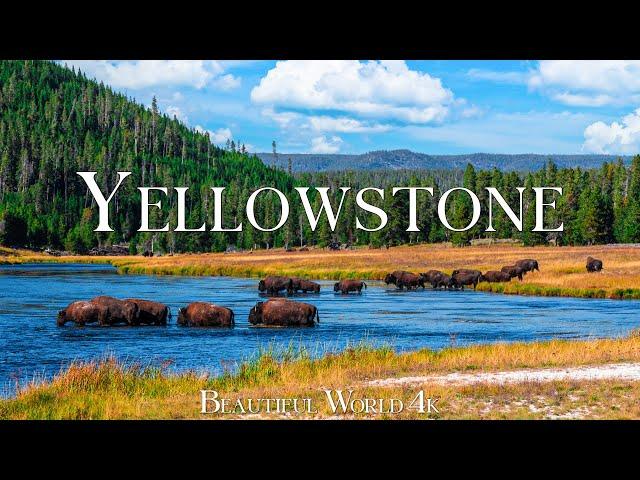 Yellowstone National Park 4K Ultra HD • Stunning Footage, Scenic Relaxation Film with Calming Music