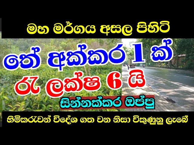 තේ අක්කර 1 ක් Rs ලක්ෂ 5 කට  විකිණිමට |Land sale 2024 | land sale in sri lanka | aduwata idam