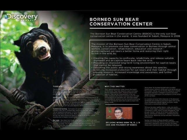 Sun Bear Rescue | Frontier Borneo - Bornean Sun Bear Conservation Centre | BSBCC