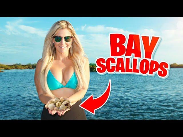 Crystal River Scalloping on Florida Nature Coast | Landed Fishing