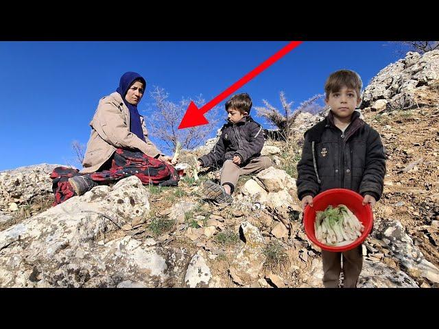 Harvesting Widow's Mother in the Wild Rocks: Success in Food Preparation and...