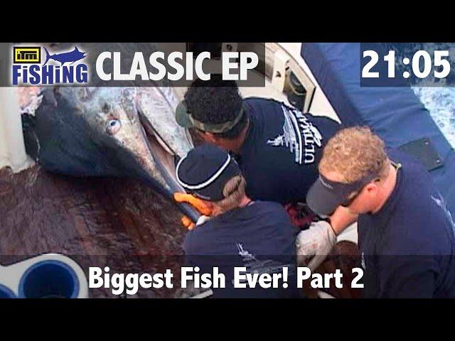 The biggest fish ever - Part 2