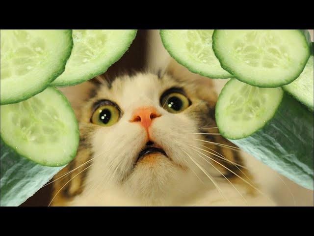 Cucumber BDD Anti-patterns [Bad Practices] - Part 1